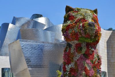 bilbao puppy